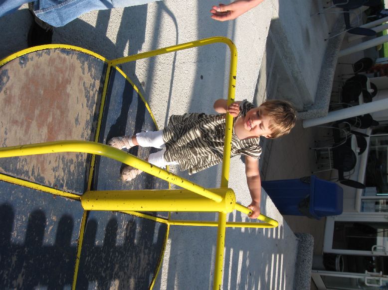 Picture 003