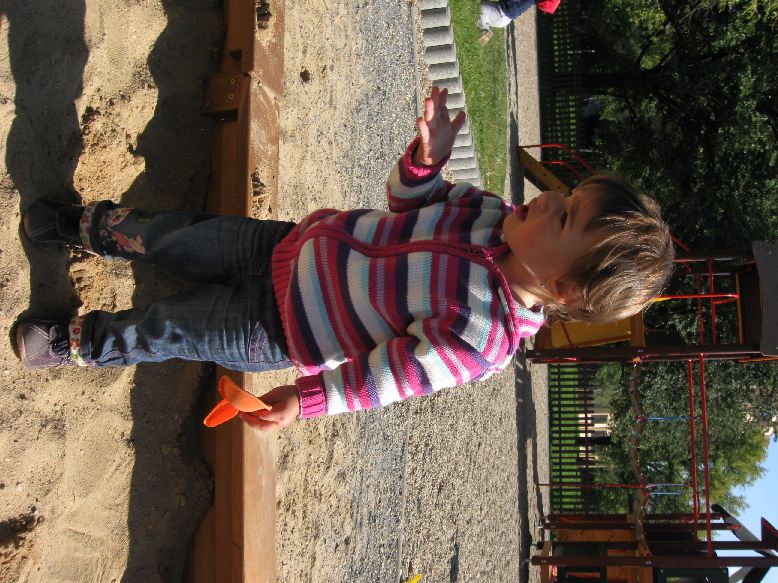 Picture 008