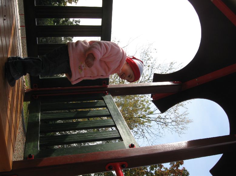 Picture 013