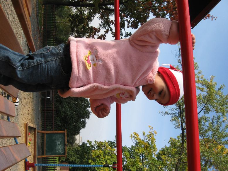 Picture 014