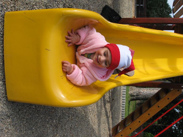 Picture 016