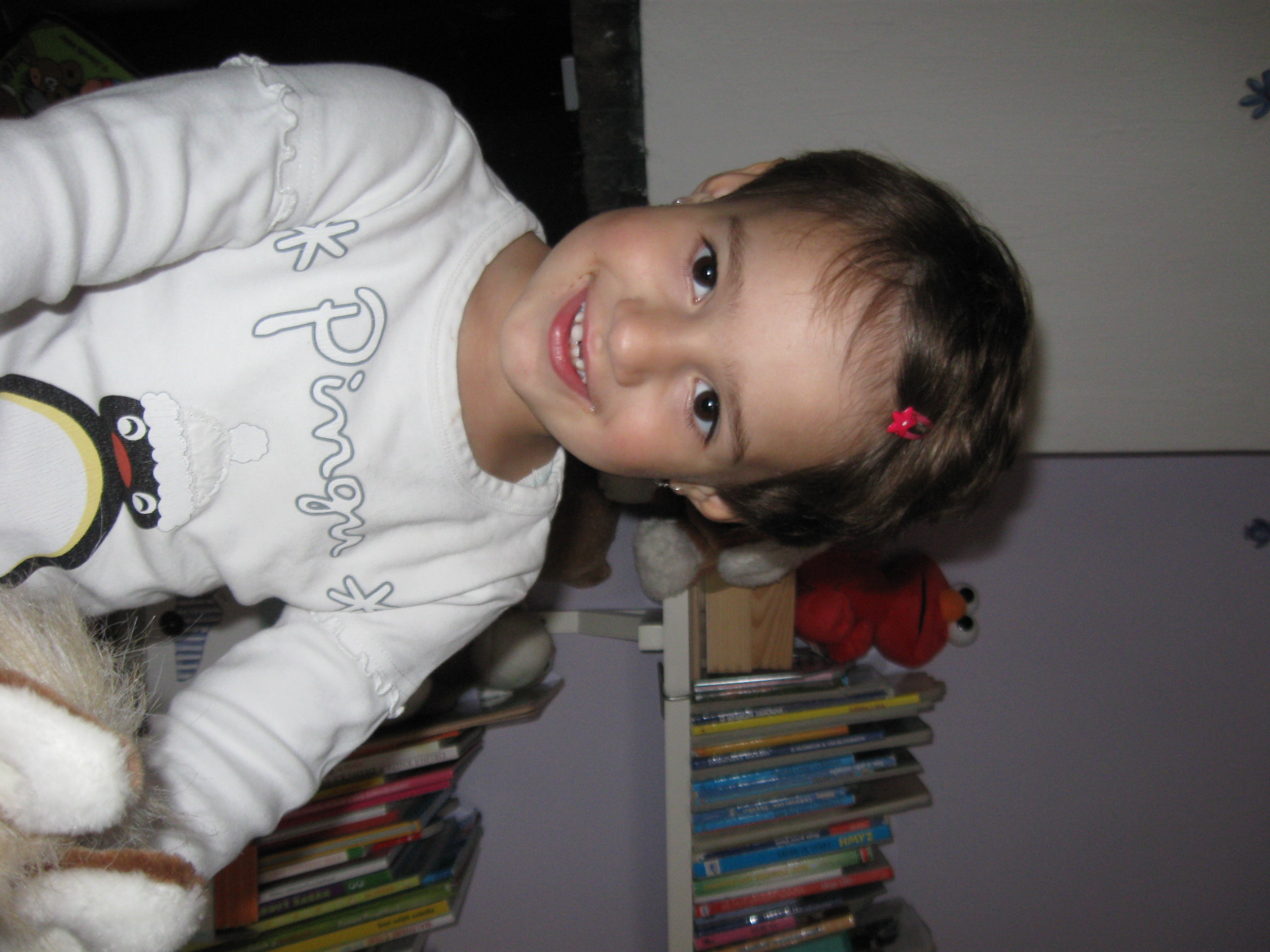 Picture 008