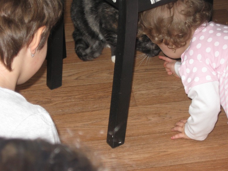 Picture 013