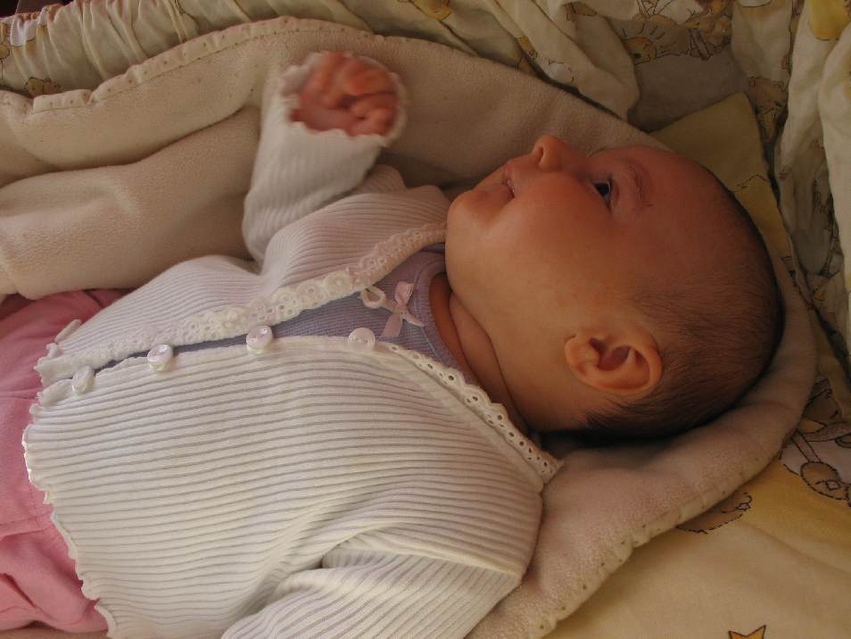 Snímek 003.jpg