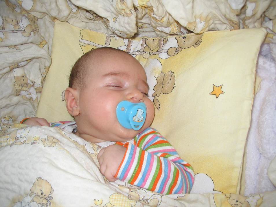 Snímek 017.jpg